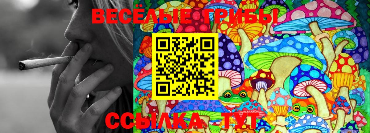 Псилоцибиновые грибы Magic Shrooms  Галлюциногенные грибы Psilocybe  Вход с VPN  Ртищево 